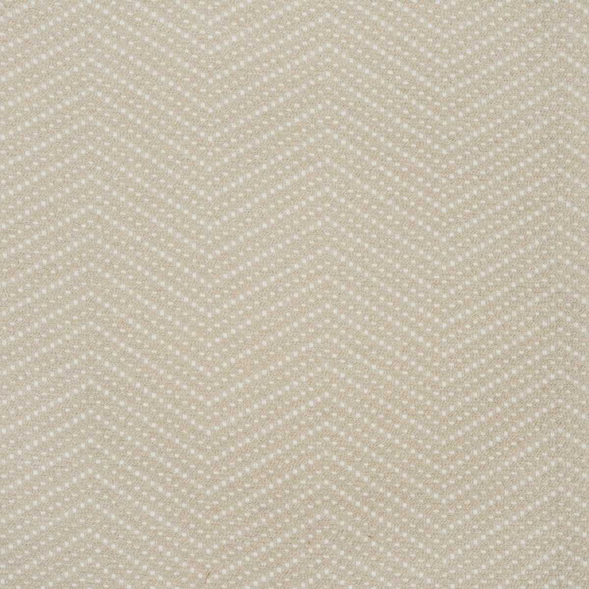 Coze JT013995-002