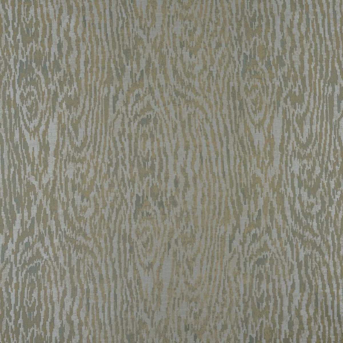 Kyoto JT013944-002
