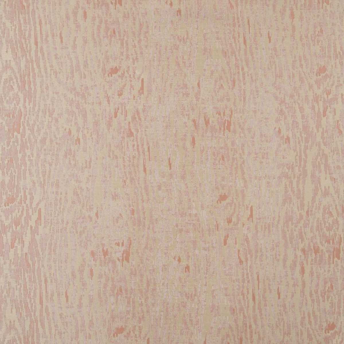 Kyoto JT013944-005
