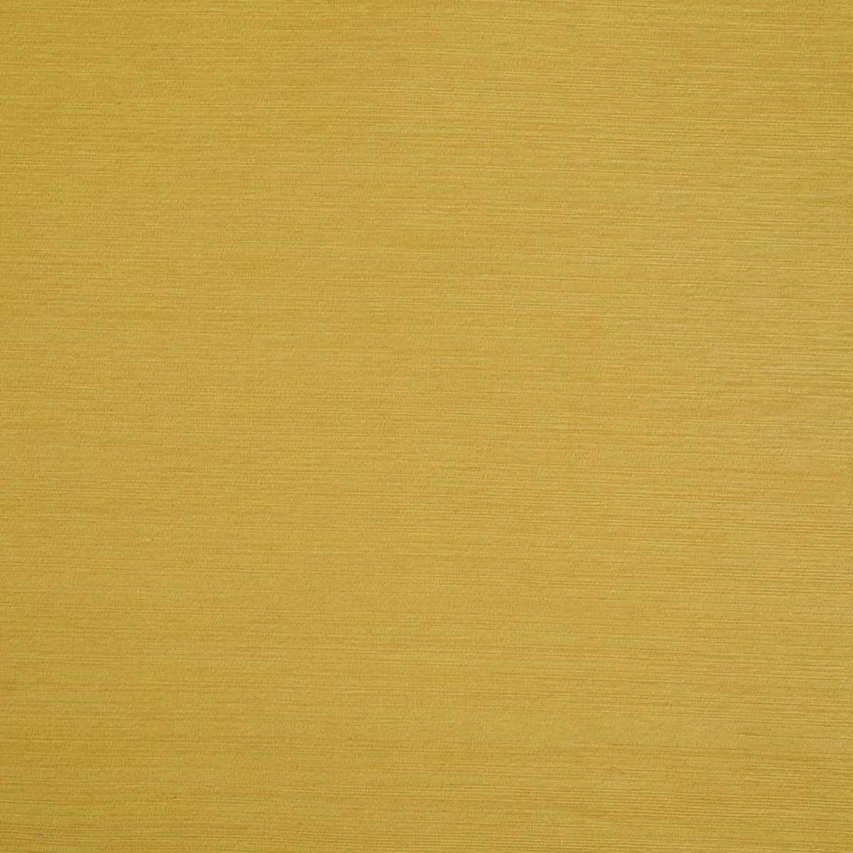 Nirin JT014014-006