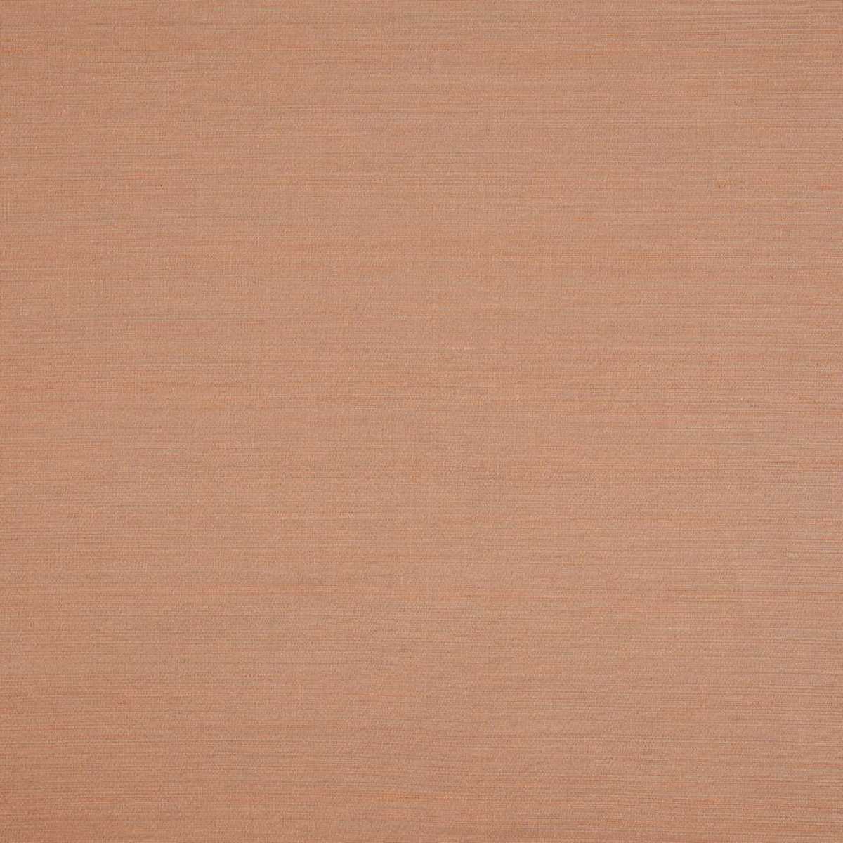 Nirin JT014014-007
