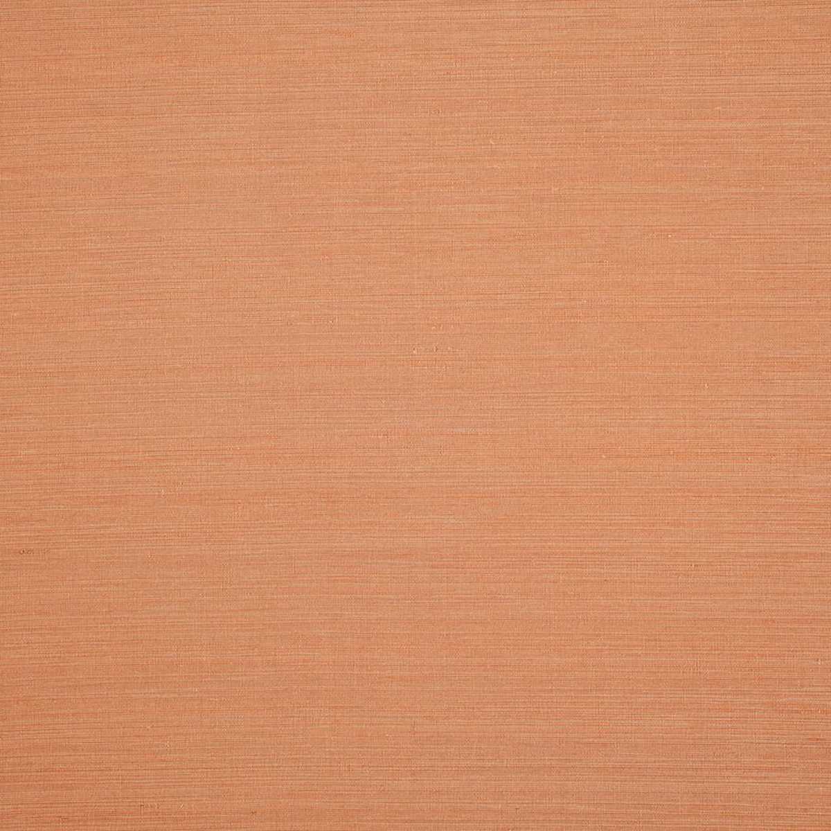 Nirin JT014014-008