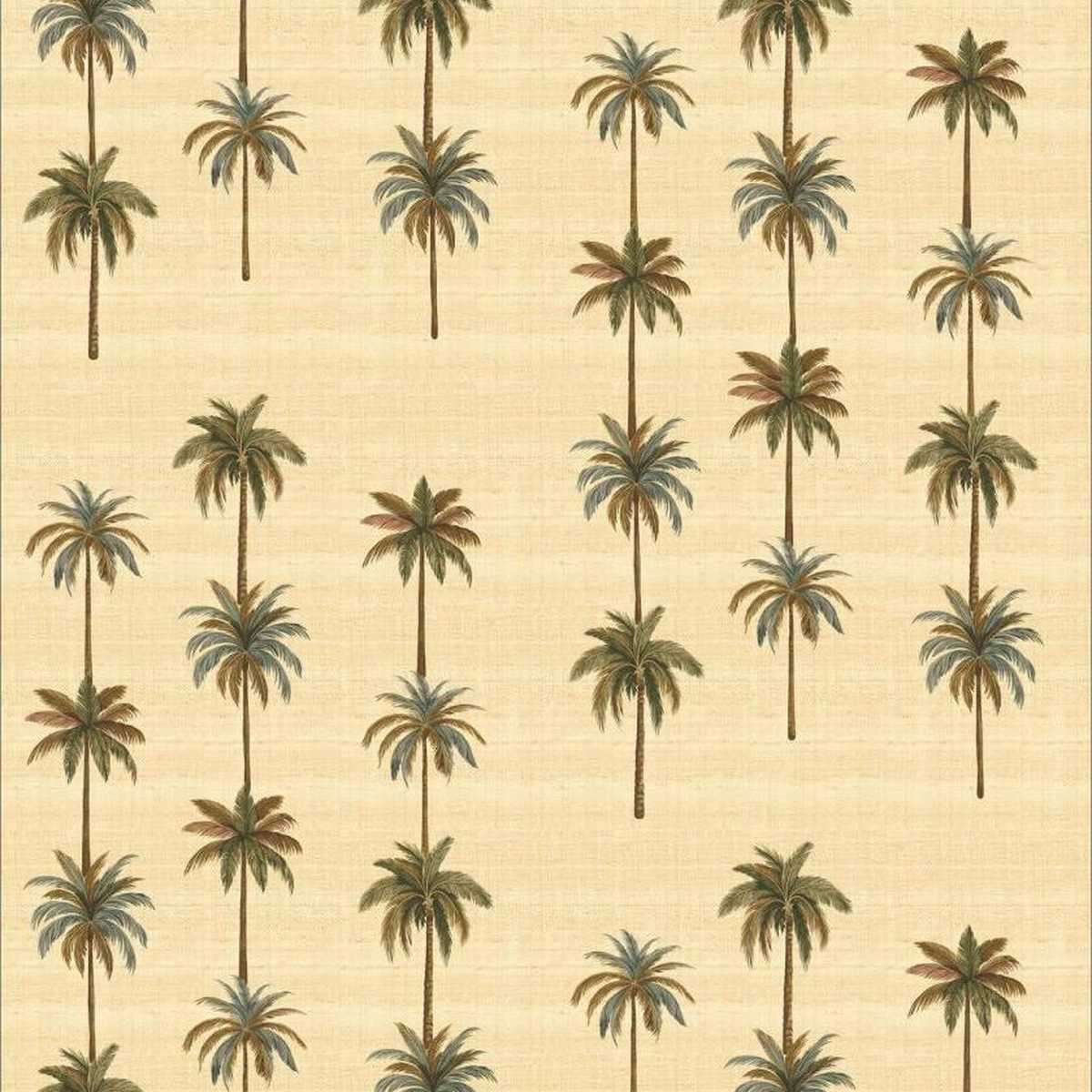 Palm Field JT021094-001