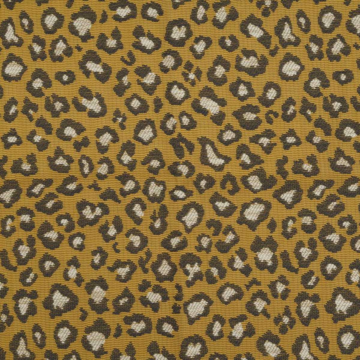 Rosette Spots JT013973-002