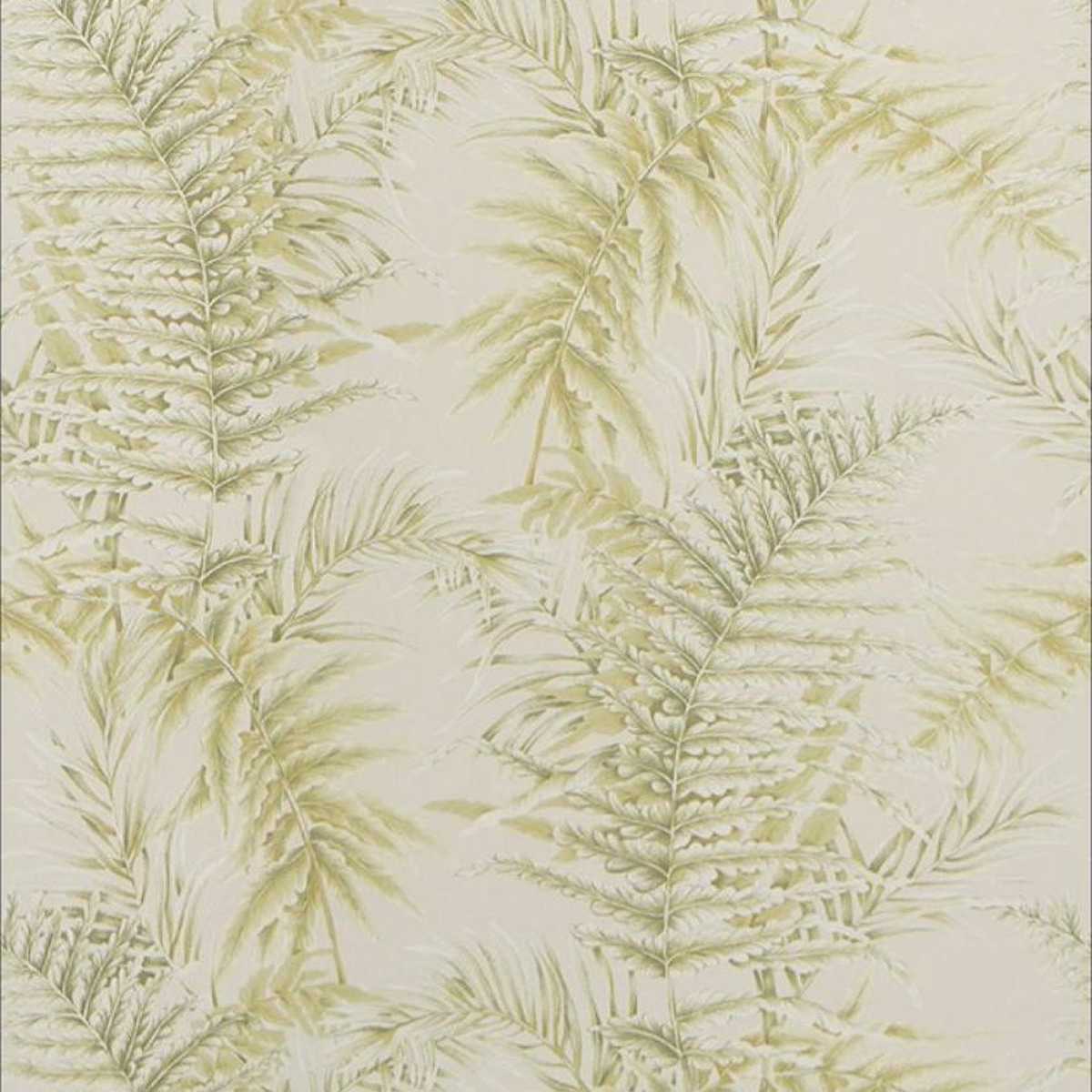 Royal Fern JT021086-001
