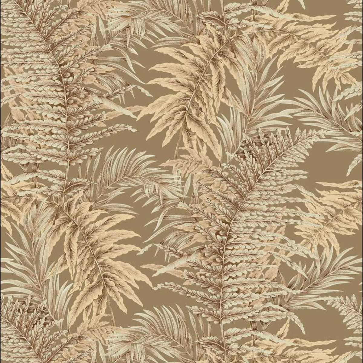 Royal Fern JT021086-002