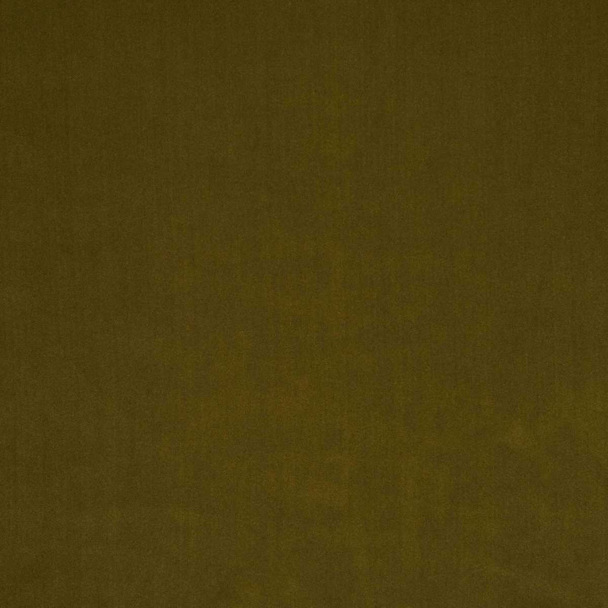 Savoy JT013898-006