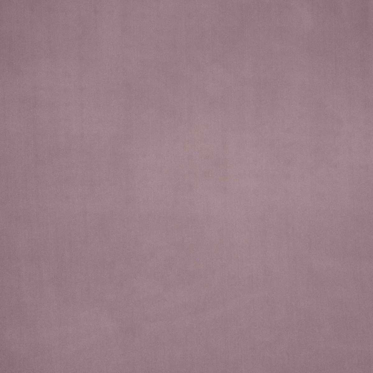 Savoy JT013898-015