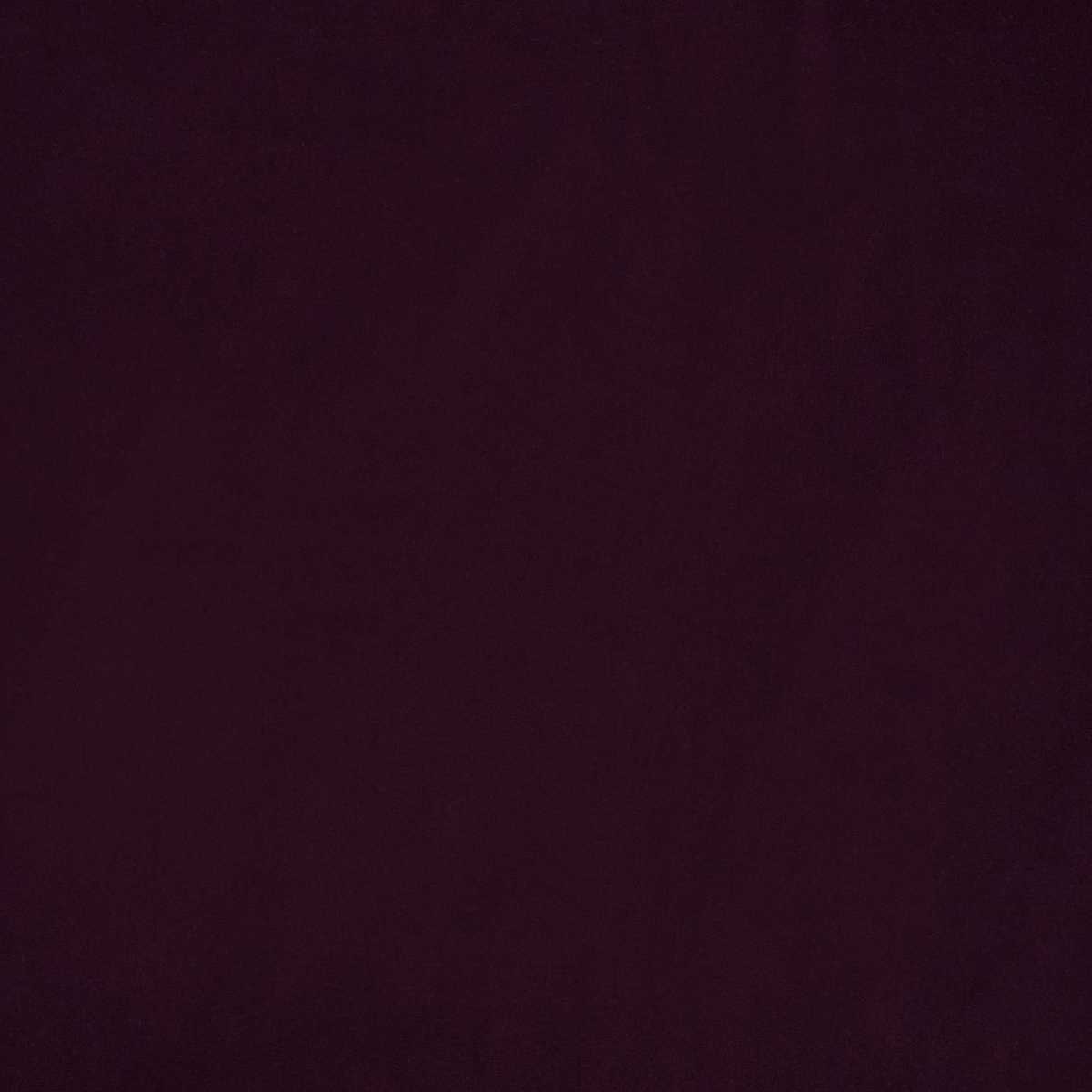 Savoy JT013898-016