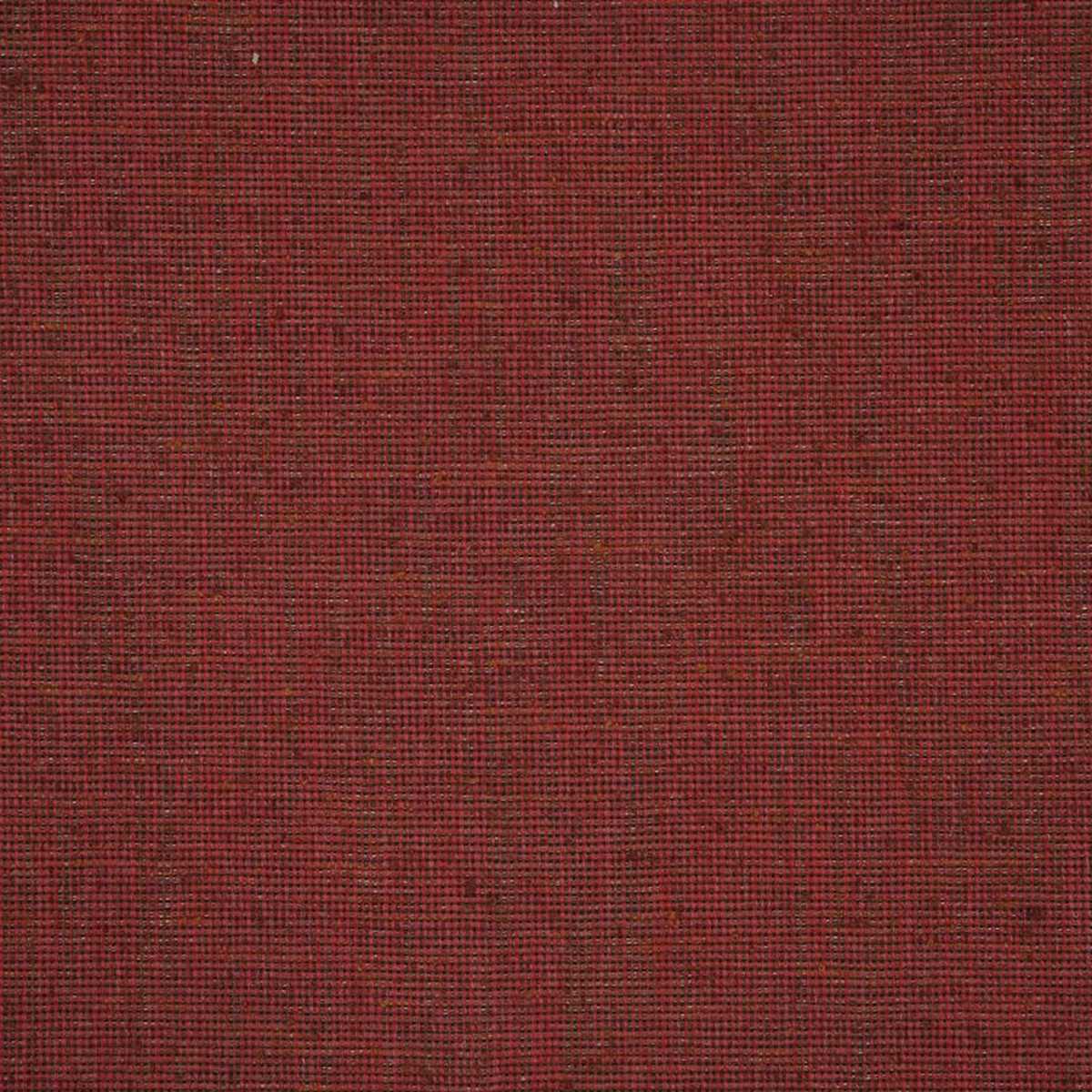 Terra JT013952-005