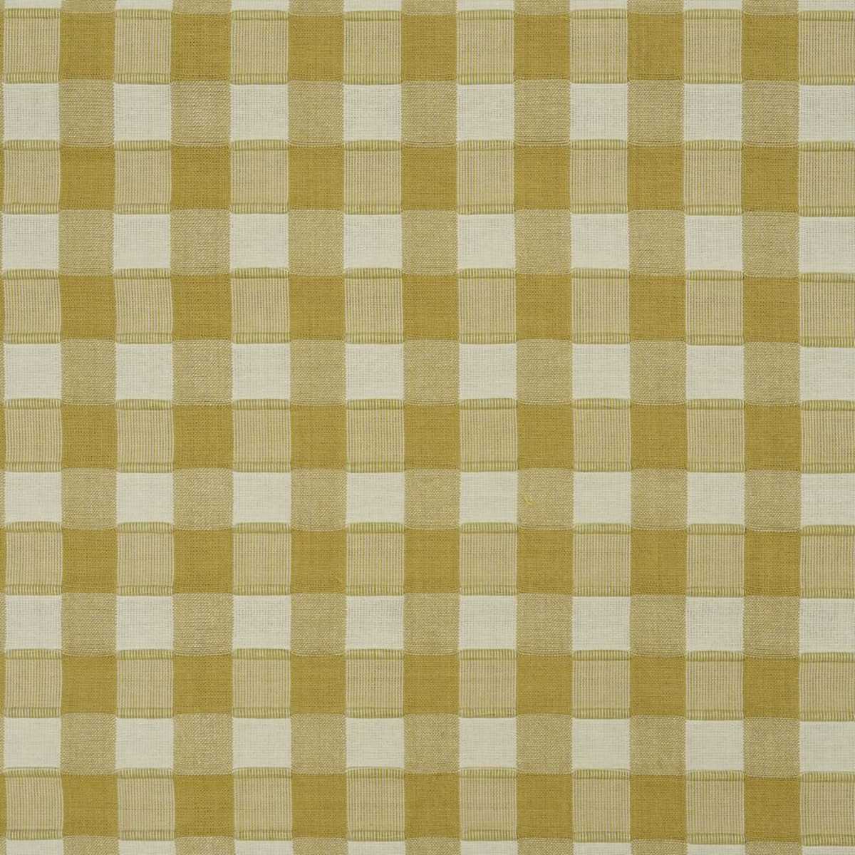 Thani Check JT013968-003