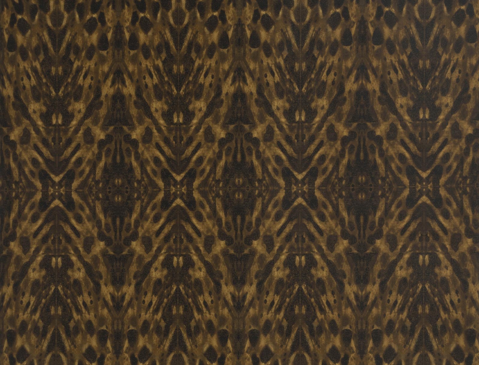 Tortoiseshell W01067-02