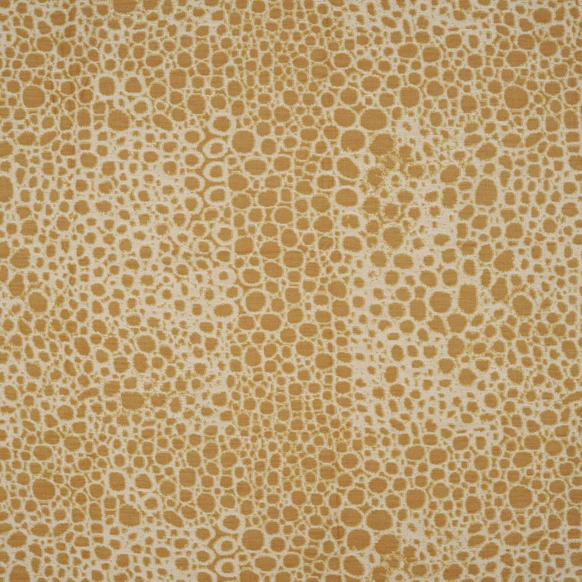 Wild Complexions JT014022-001