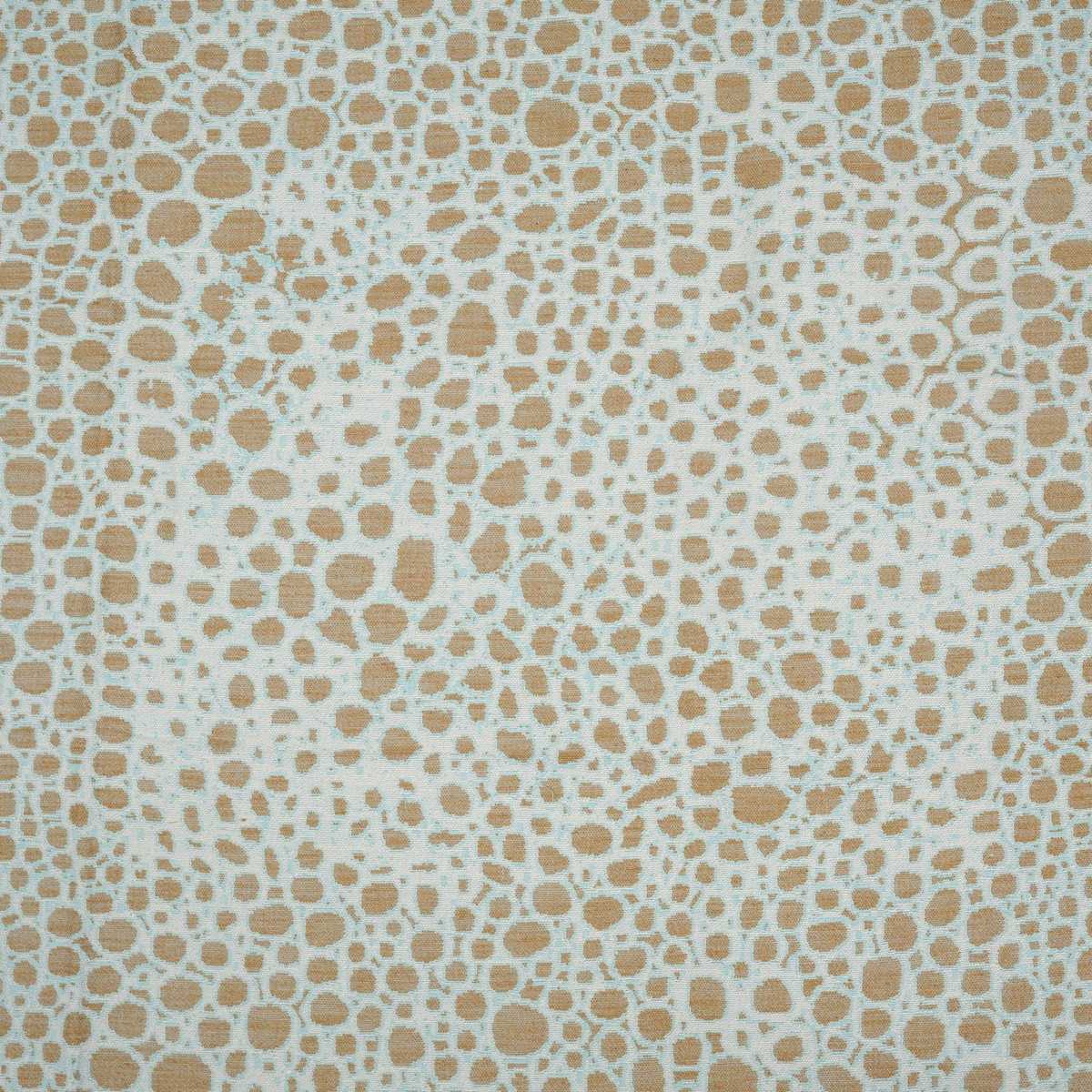 Wild Complexions JT014022-004