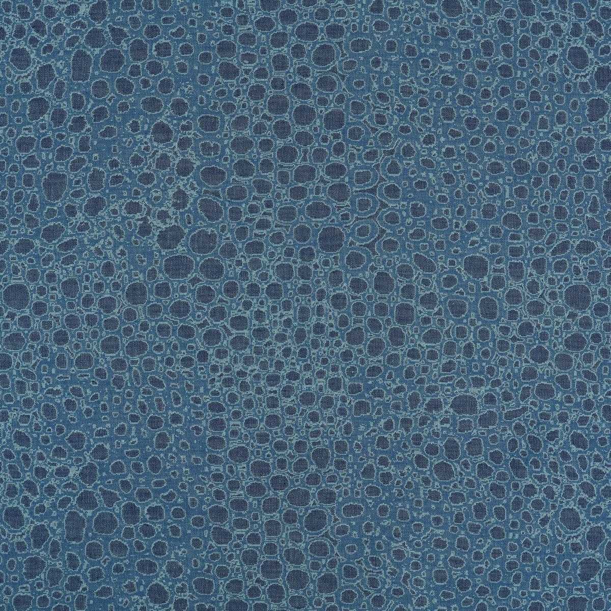 Wild Complexions JT014022-006