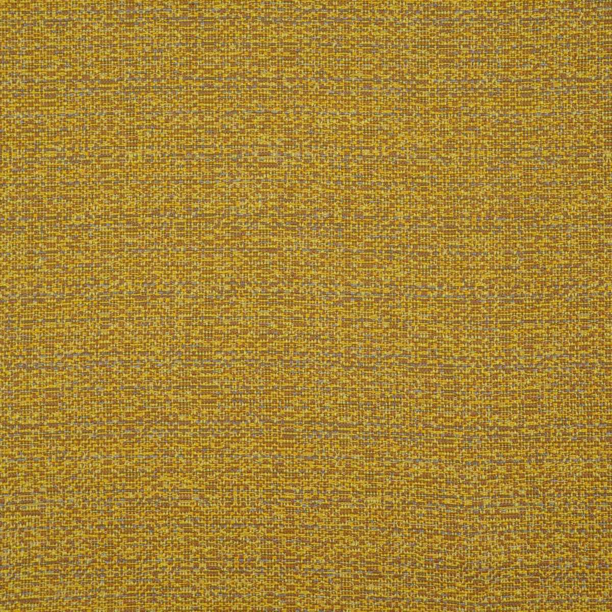 Wild Wild Weaves JT014031-009