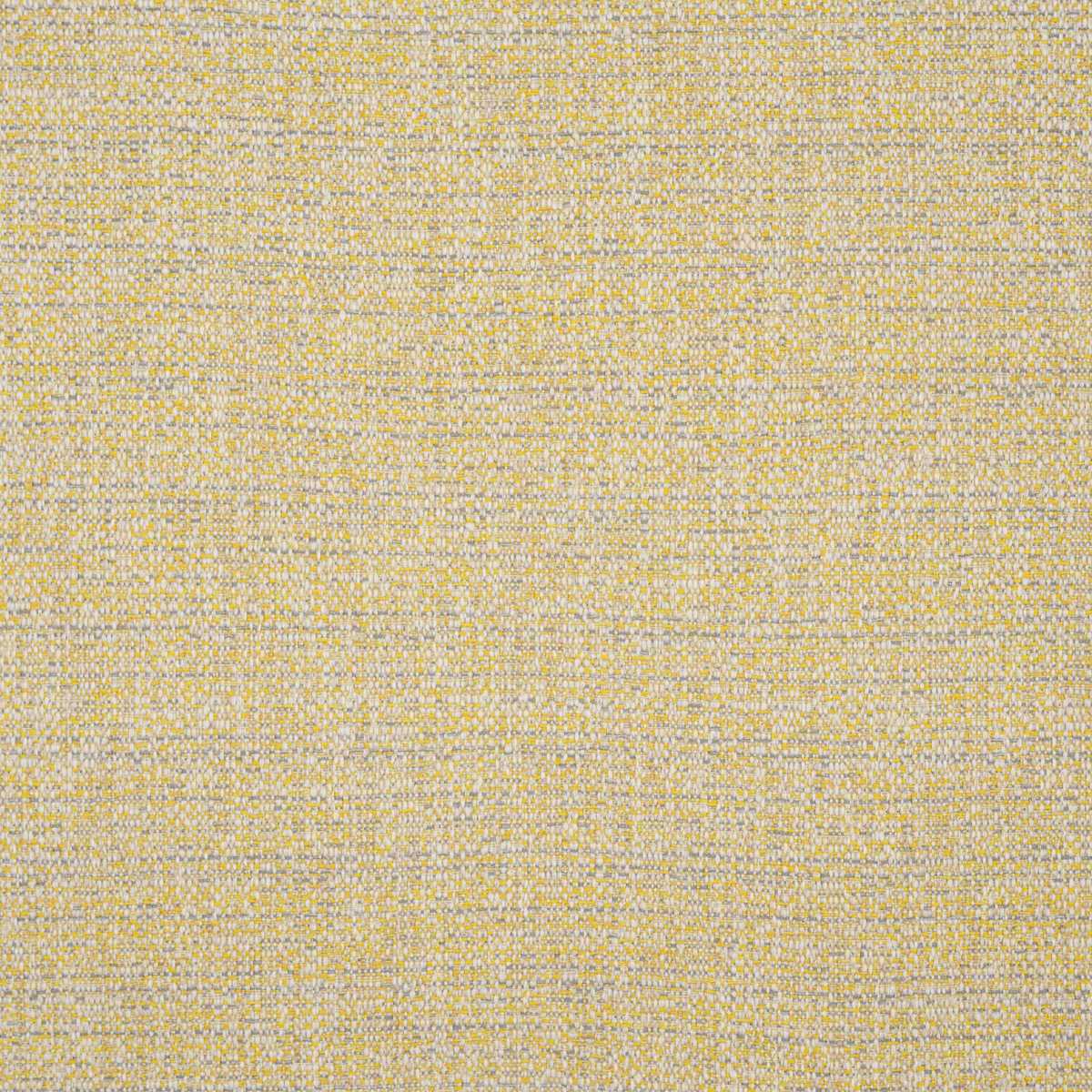 Wild Wild Weaves JT014031-010