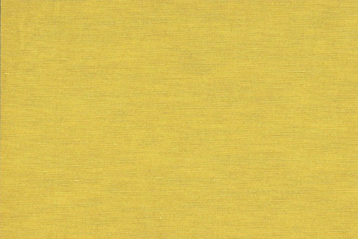 Jimi J2187-011