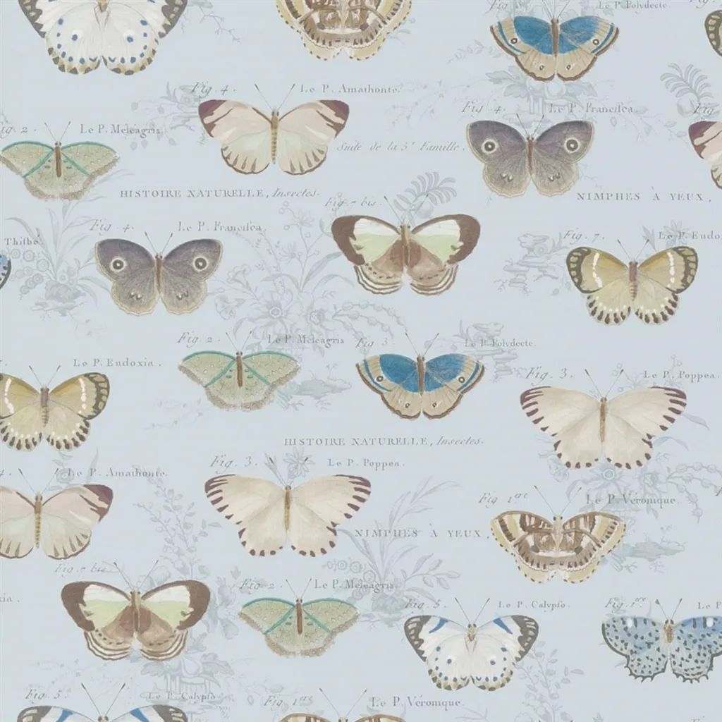 Butterfly Studies PJD6017-02