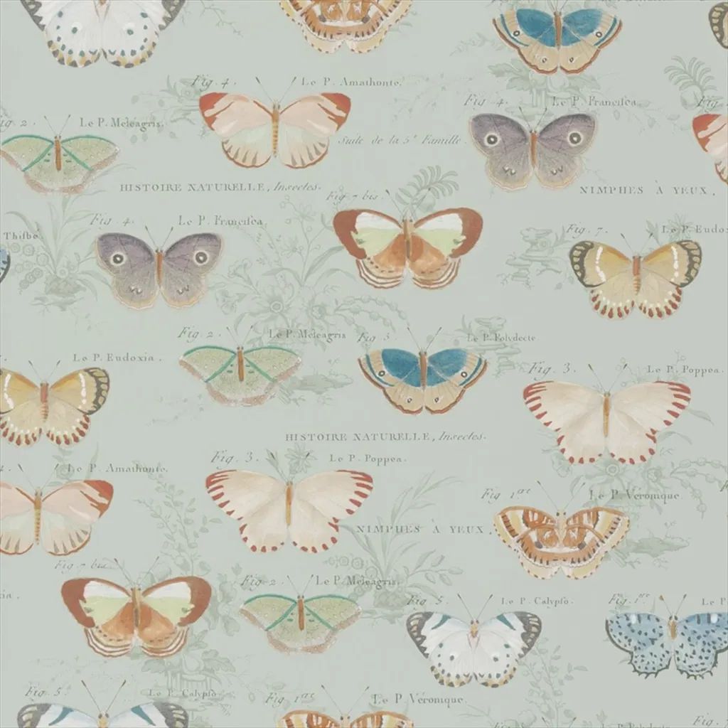 Butterfly Studies PJD6017-03