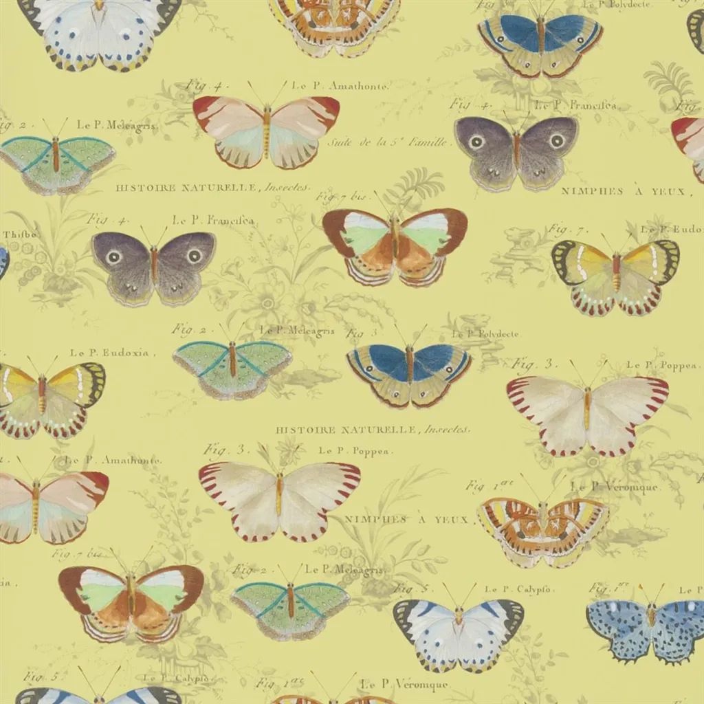 Butterfly Studies PJD6017-04