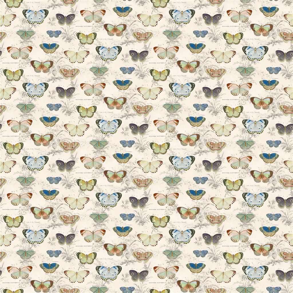 Butterfly Studies FJD6050-01