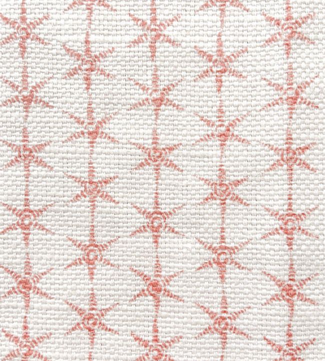 Anise Pink JTFBAN03