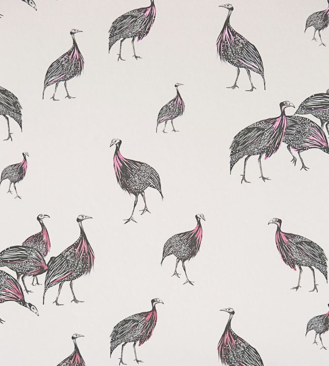 Birds Of A Feather JTBF03
