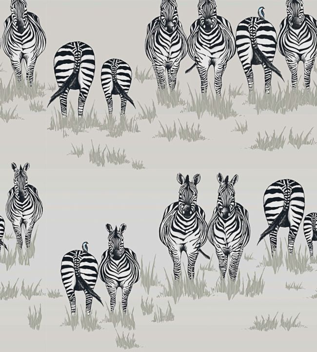 Dazzle JTDA02
