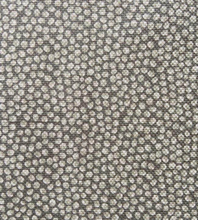 Kernel Taupe JTFBKE01