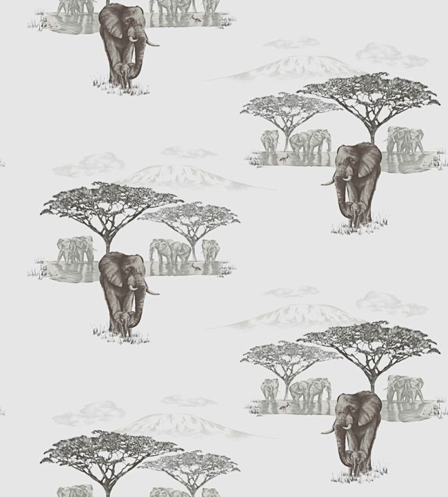 The Waterhole JTWH01