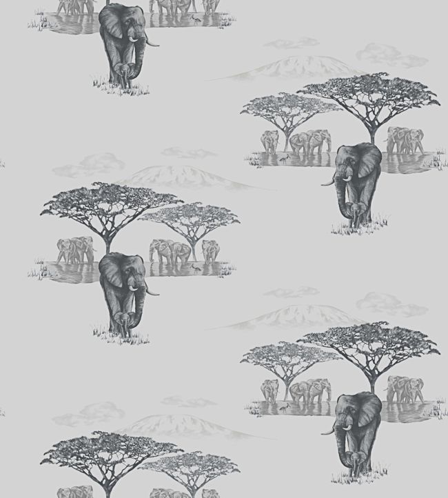The Waterhole JTWH02
