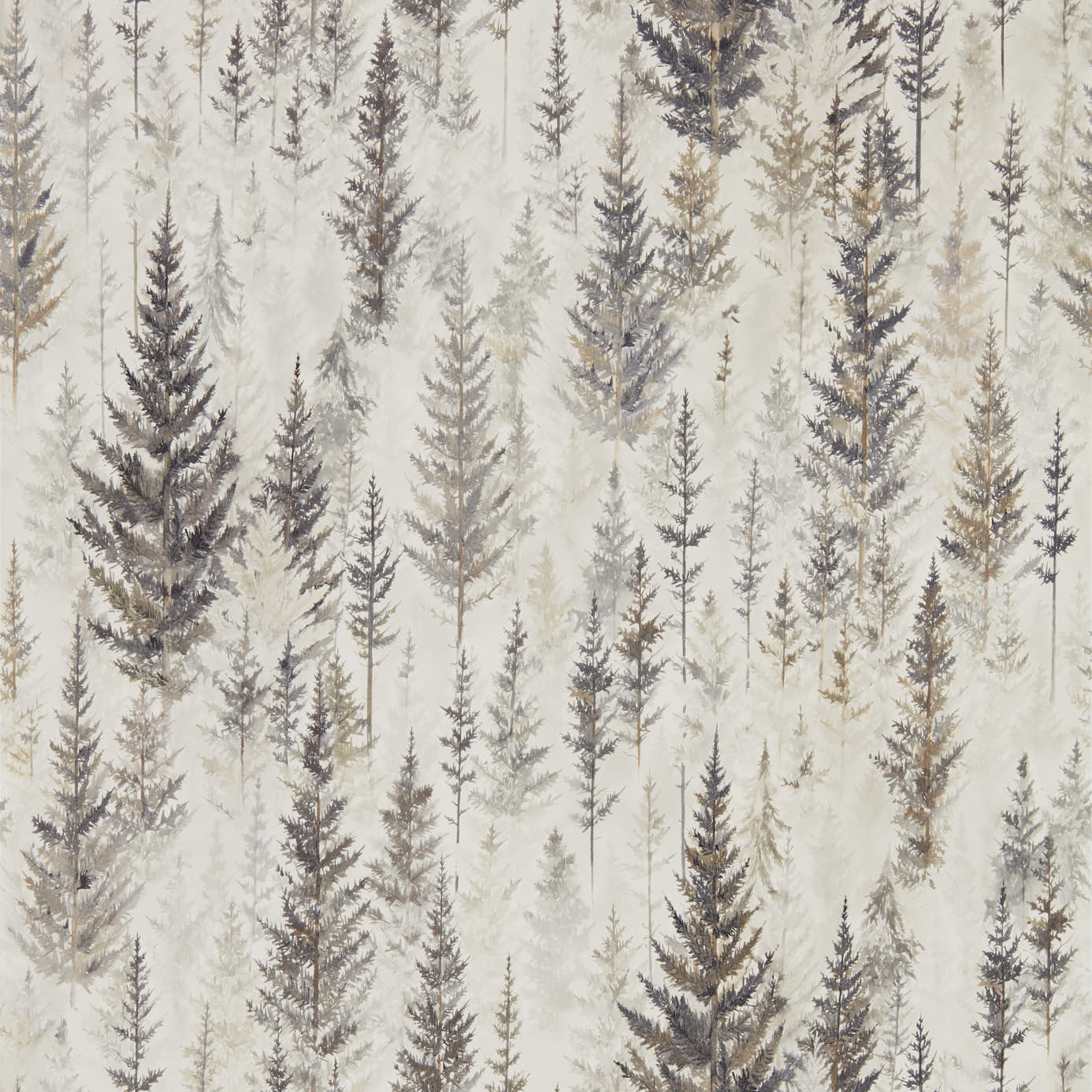 Juniper Pine 216621