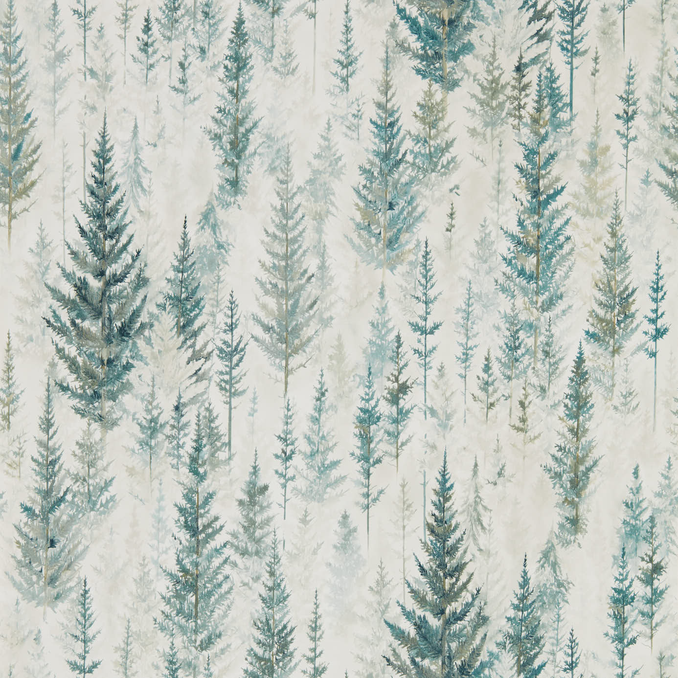 Juniper Pine 216622