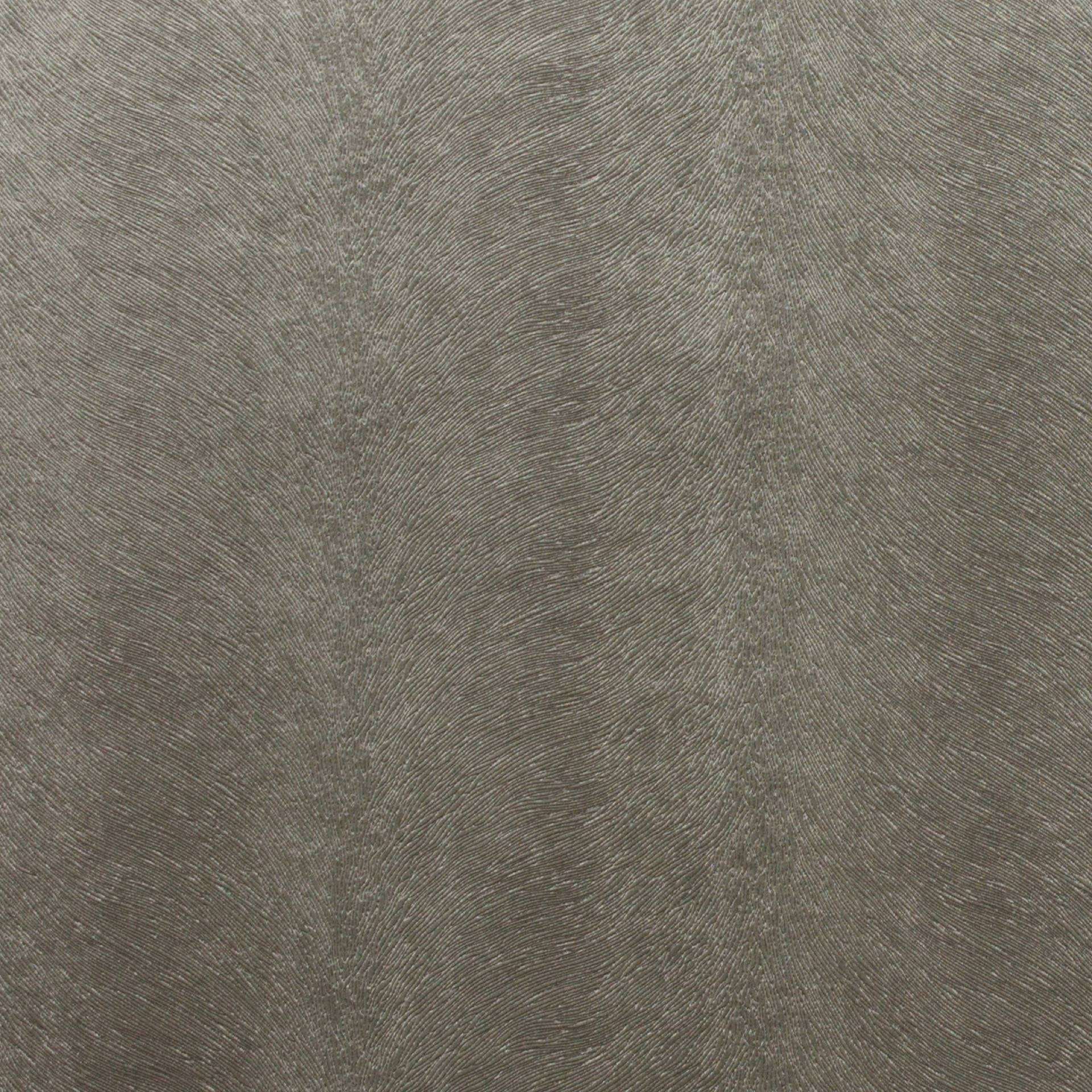 Allegra KALLEGRASL