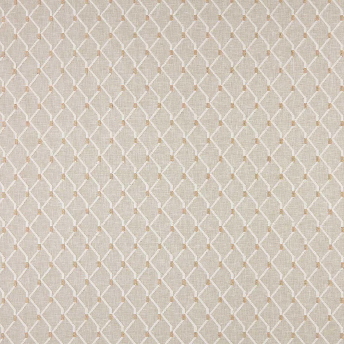 Amira Parchment