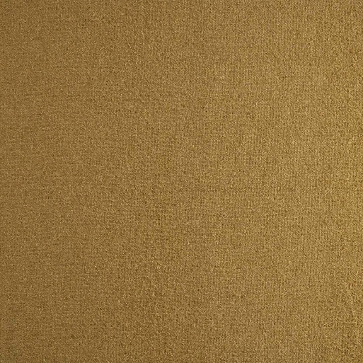Enver Pollen