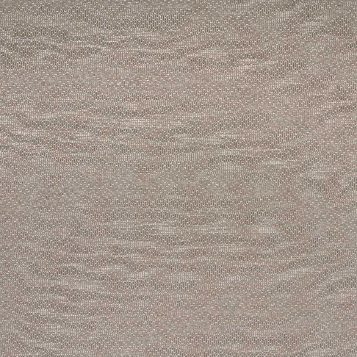 Esket Plaster