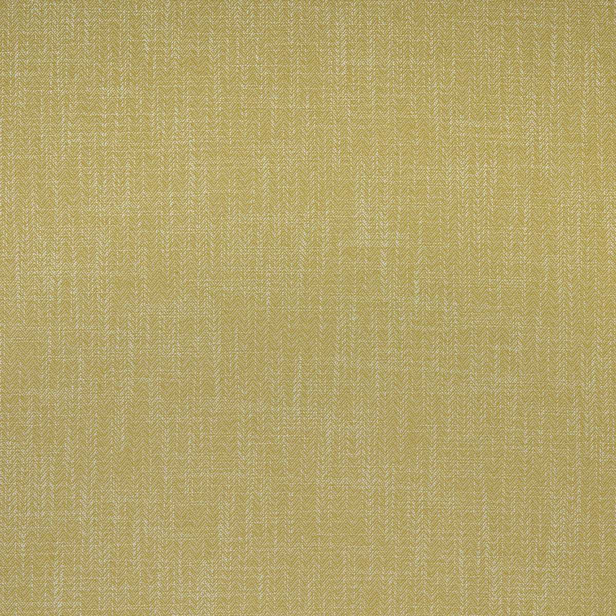 Marny Pollen