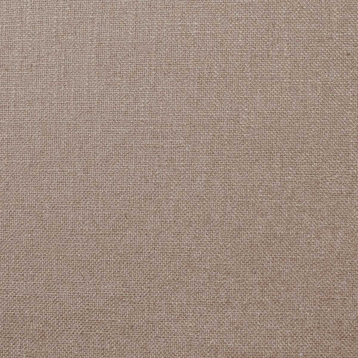 Olenka Plaster