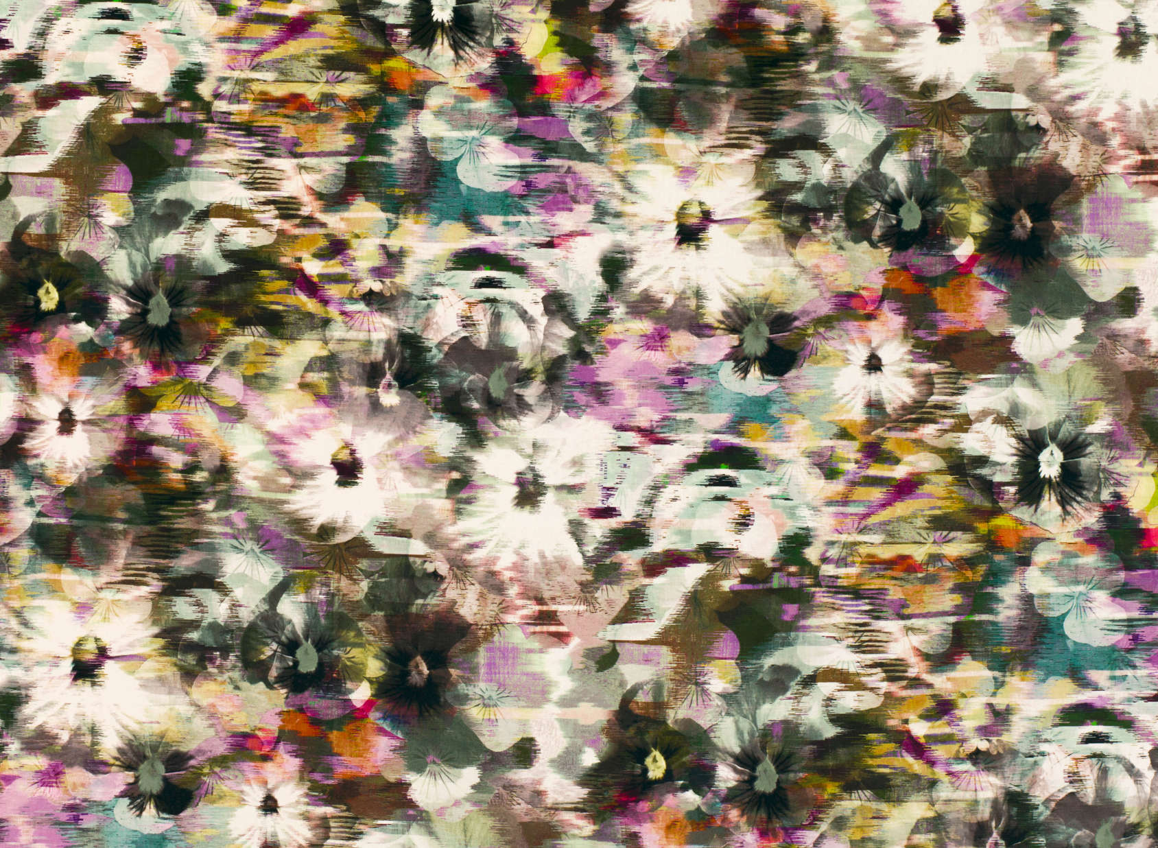 Kansai Velvet Zinnia 9003-02