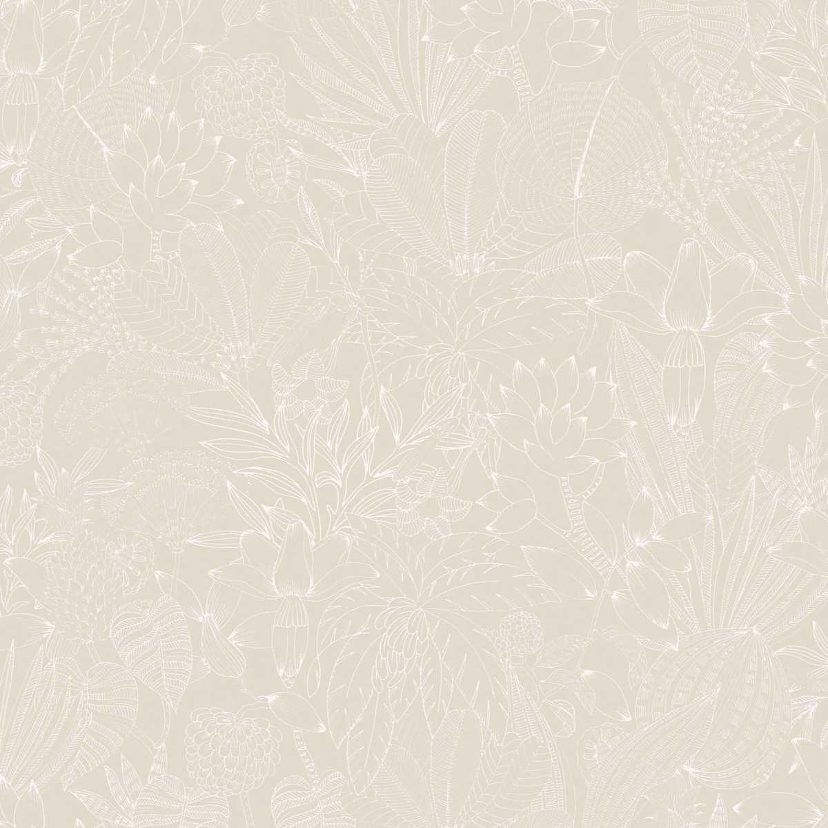 Bellis ROM101