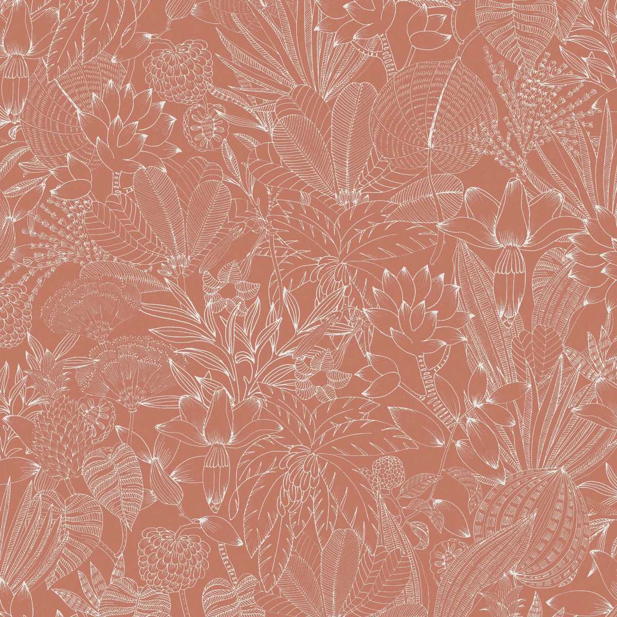 Bellis ROM104