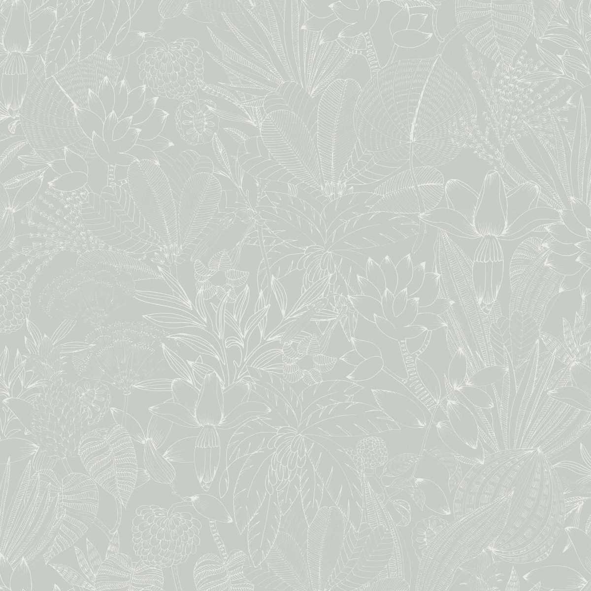 Bellis ROM105