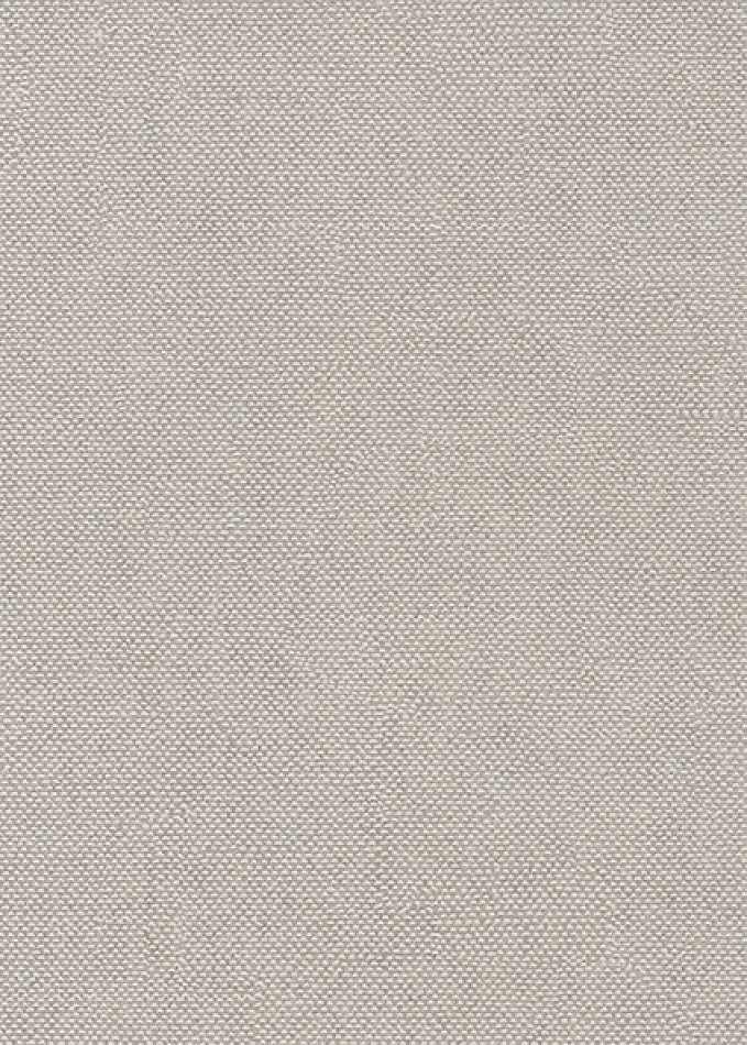 Lys CLR022