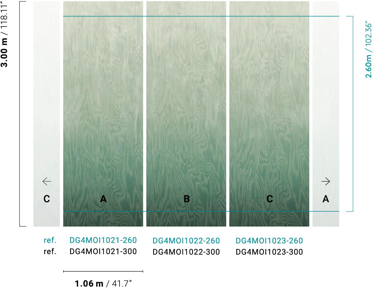 Moire DG4MOI1021
