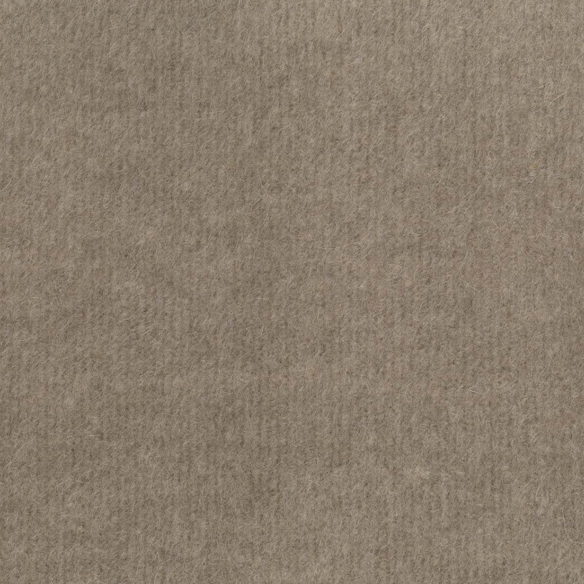 Feral 17308-003