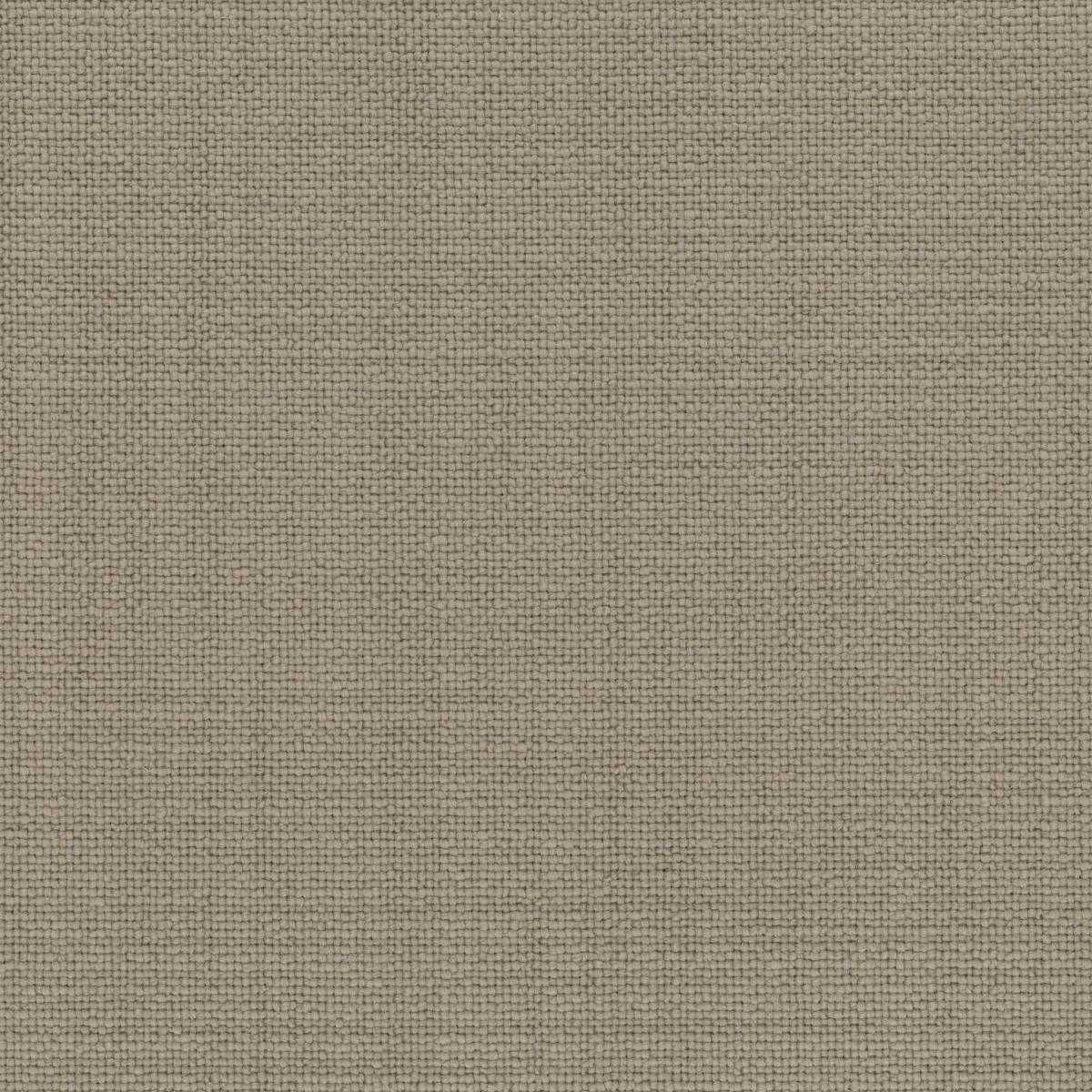 Masavi 17309-006