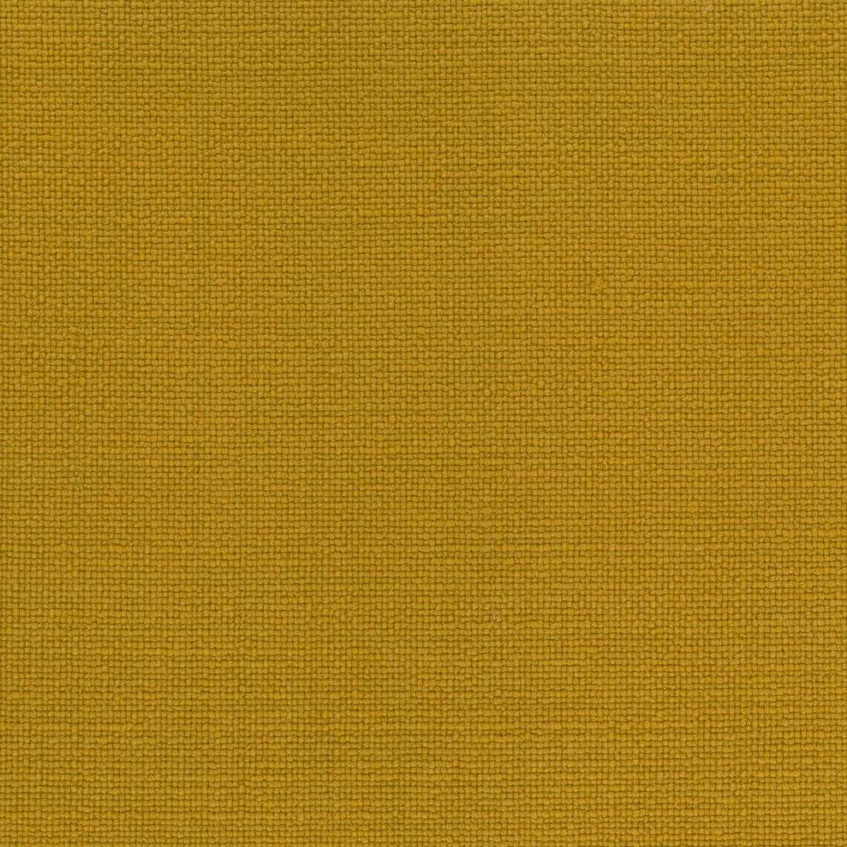 Masavi 17309-007
