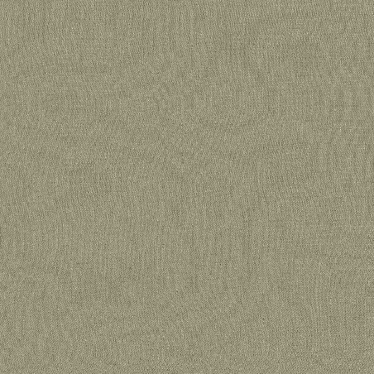 Papyrus 17361-005